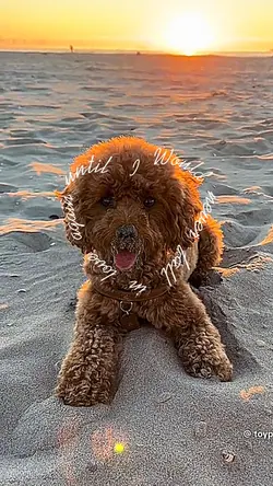 I love this songgggg