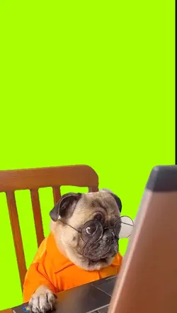 Green screen 