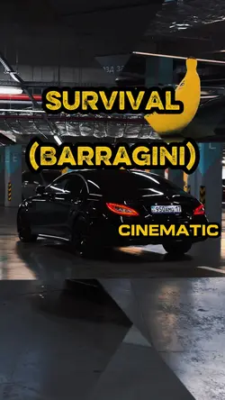 SURVIVAL BARRAGINI
