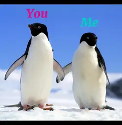 You & Me ❤️‍🩹