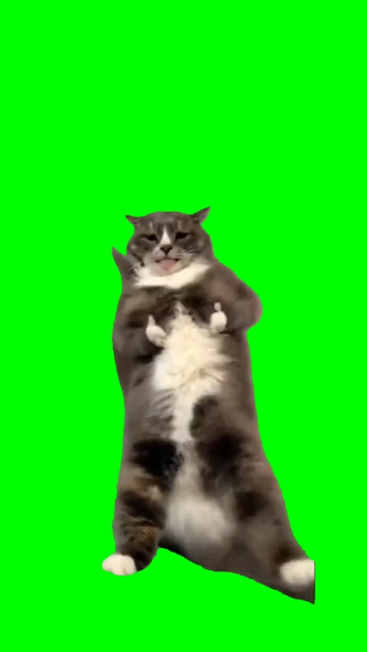 Dança do gato 
