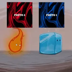 Mente Fria