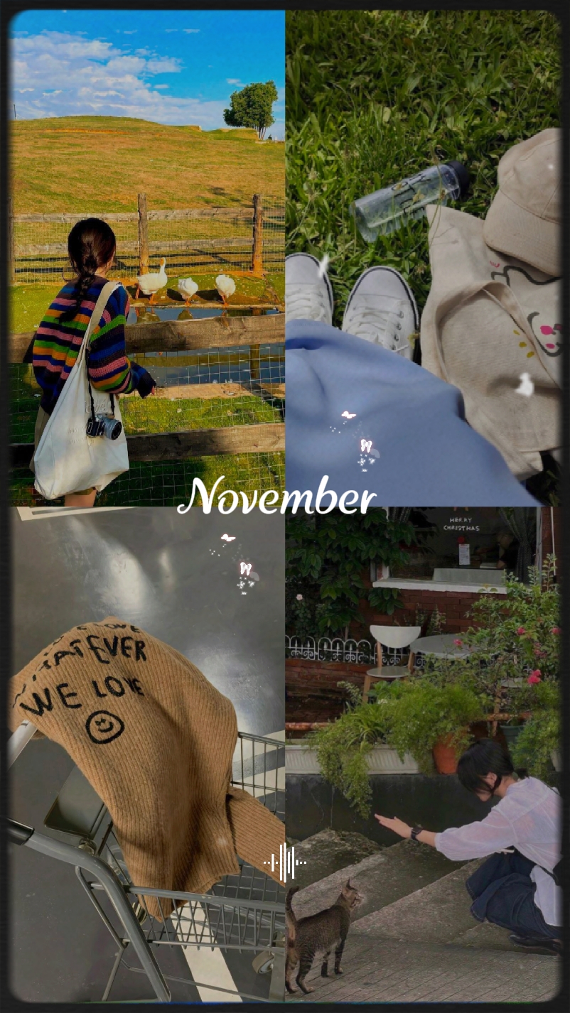 Collage 