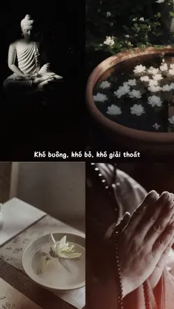 Nan Giải - Nhạc TQ