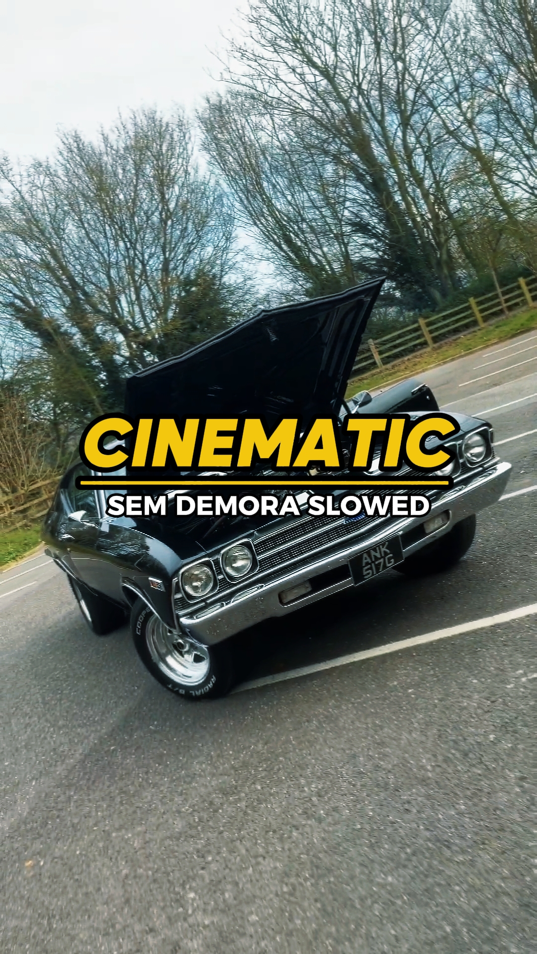 Cinematic Trend