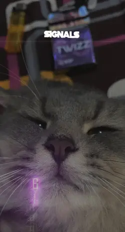 Lirik lagu