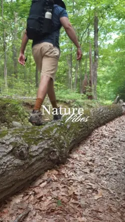 Nature Vibes
