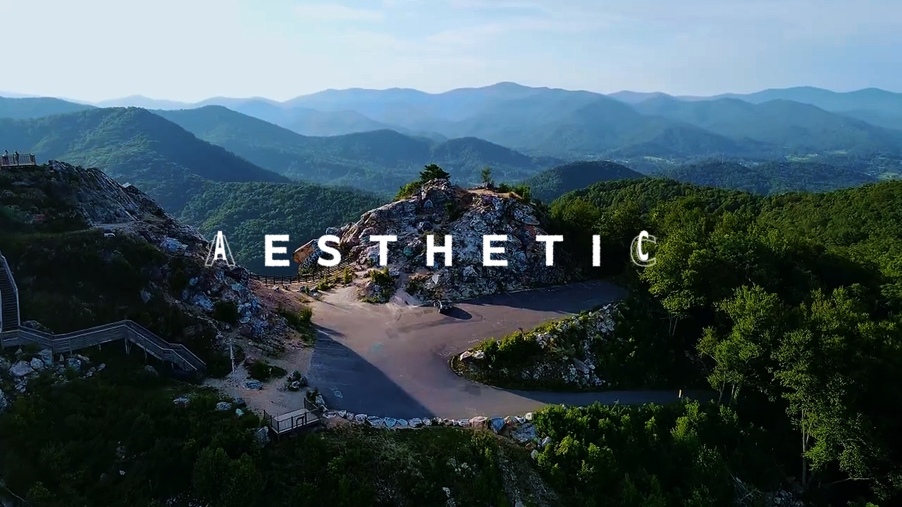 ESTHÉTIQUE 