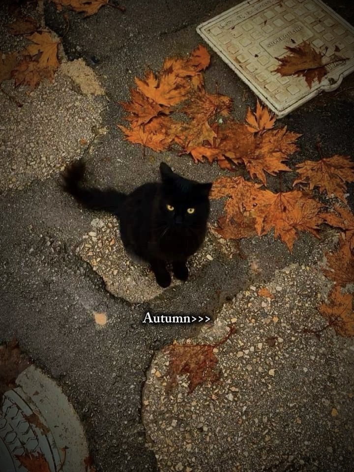 가을 