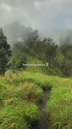 powered by nature