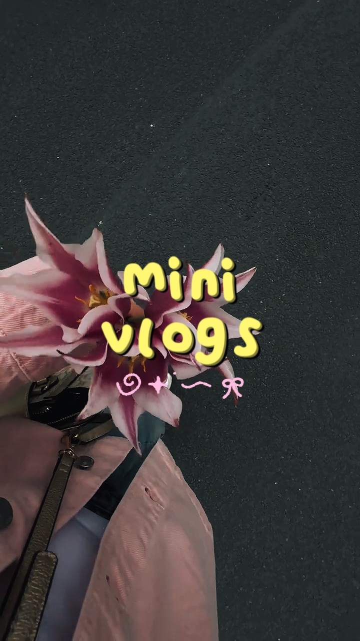 Mini Vlog