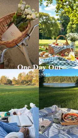 Picnic Vlog