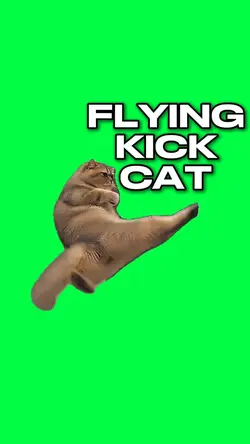 FLYING KICK CAT MEME