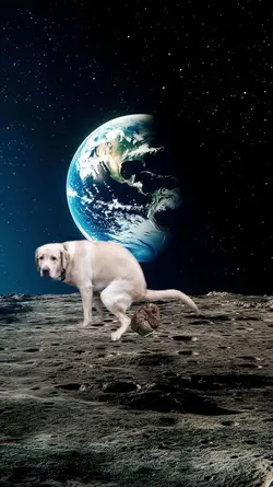 dog pop on the moon