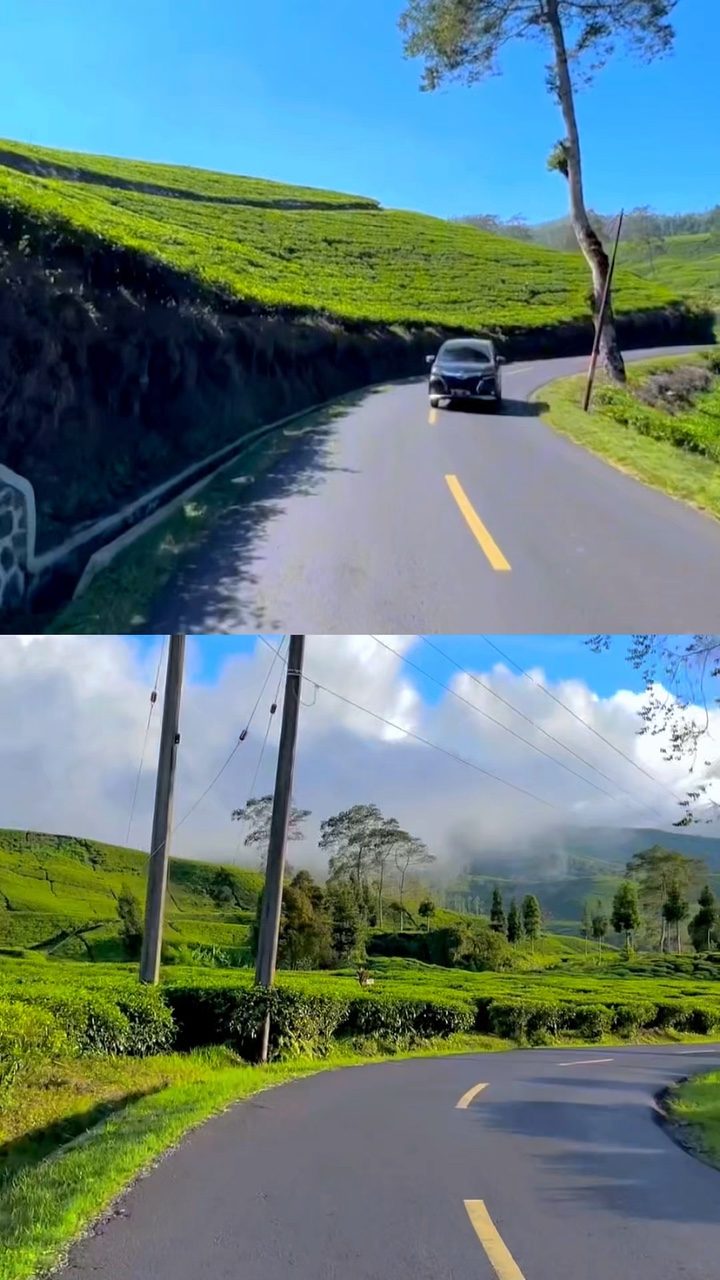 2 video 1 frame