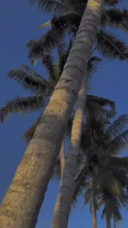 6klip video
