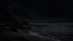 I’ll risk it all