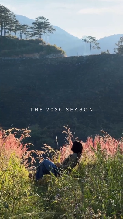 Die Saison 2025 