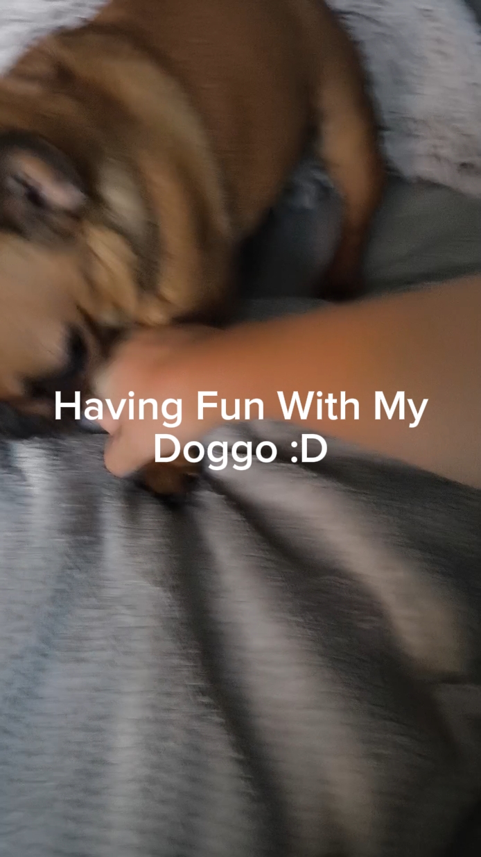 WHAT A PREPPY VID