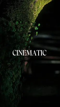 CINEMATIC 