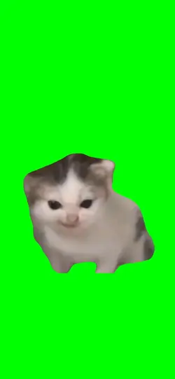 Cat speaking german