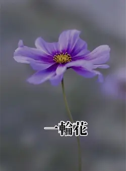 一輪花
