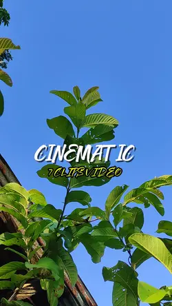 7 CLIPS VIDEO HD 