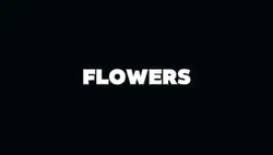 4 Clips | FLOWERS 
