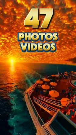 49 photos or videos 