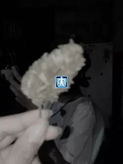 နွေးထွေးမှု//JME