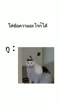 มีมฮาๆ