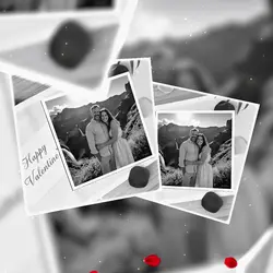 HoneyMoon Dreams 