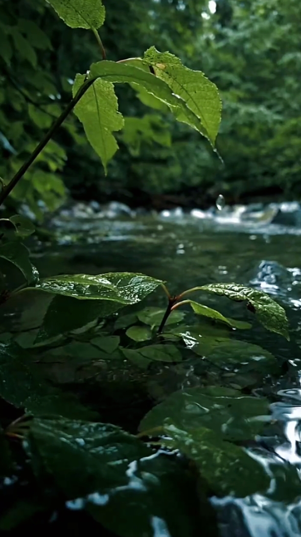 cinematic 4 vidio