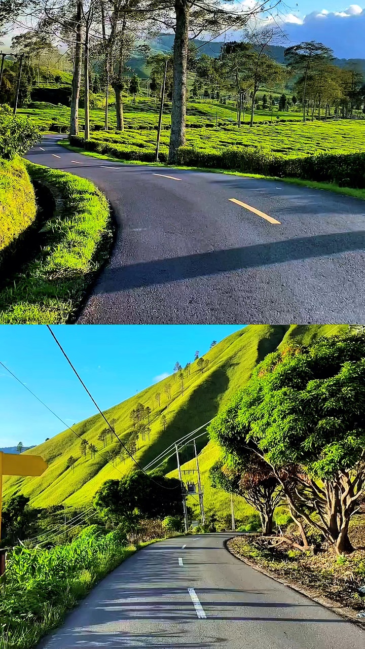 2 video 1 layout HD