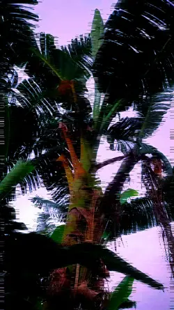 TEROMPET 