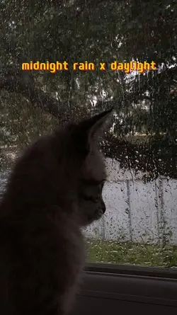 midnightraindaylighy