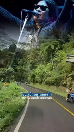 หมาหยอกไก่
