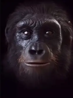 Evolusi Temanku