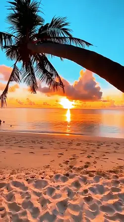 sunset aesthetic