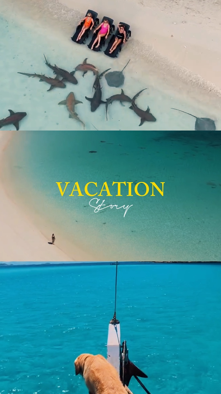 Vacation story