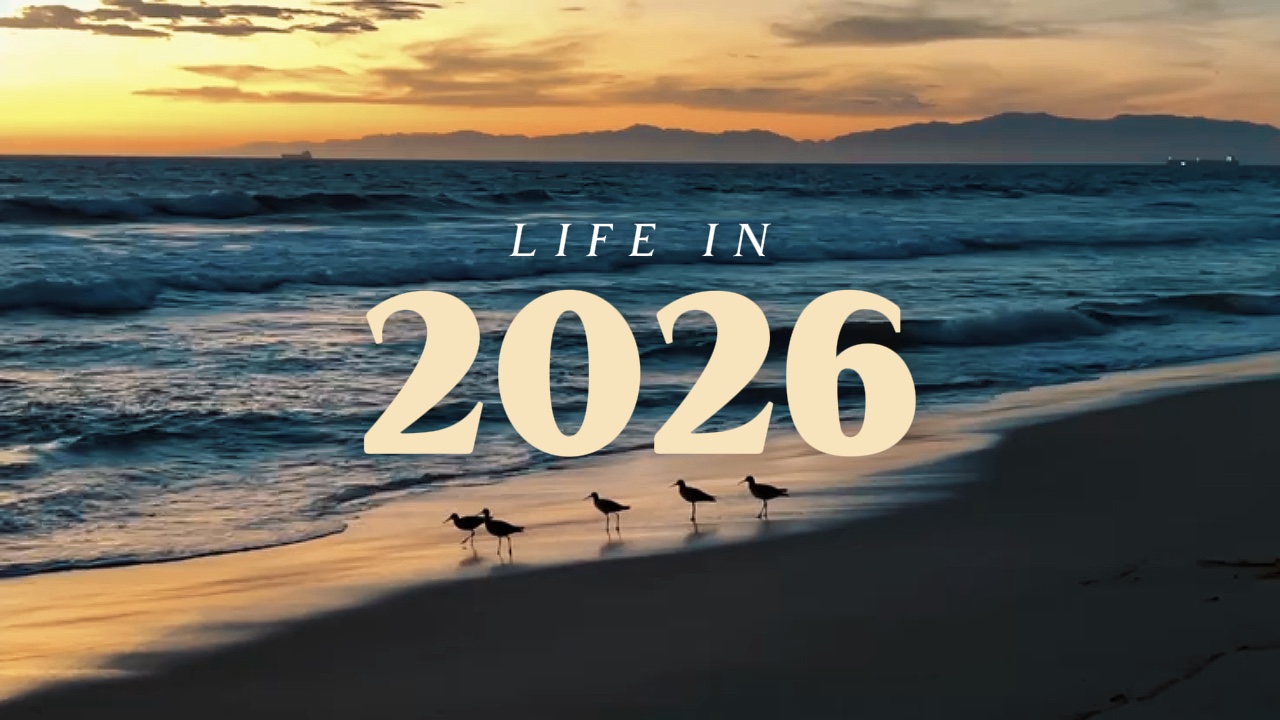 Vida Em 2026