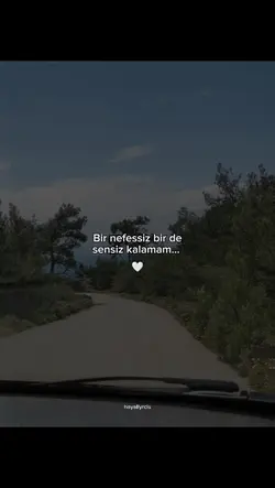 Aşk şablonu