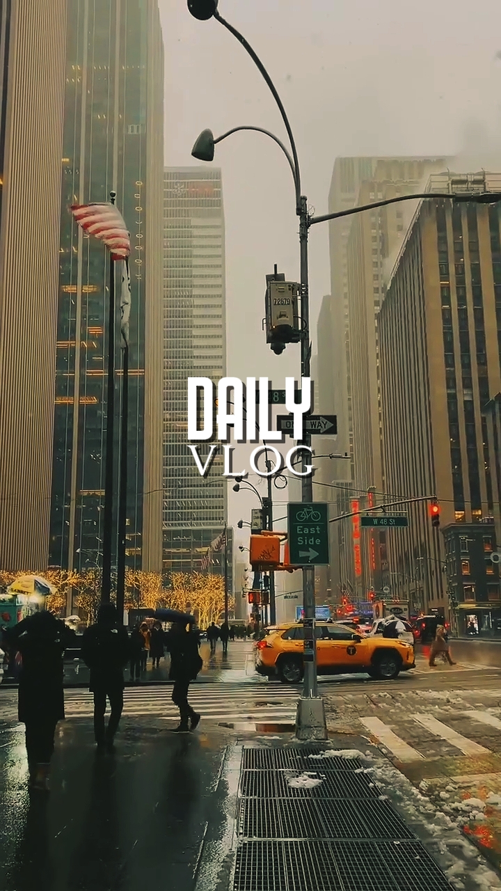Pang-araw-araw na vlog