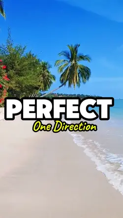 perfect vlog beach
