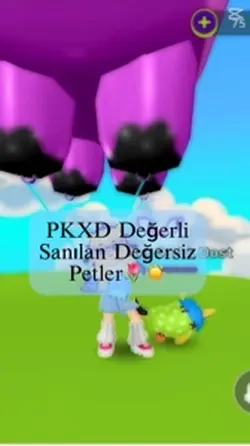 Artık Pk kanalıyım☀️🎀