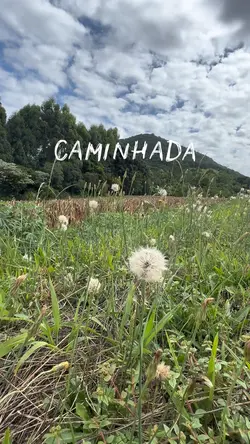 Caminhada 