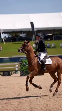 This horse omg😍💌