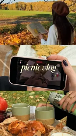picnic vlog