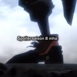 Spoiler S8 MHA