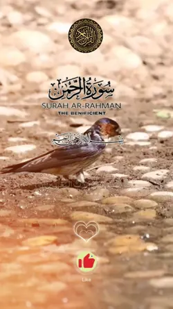 سورۃ الرحمن